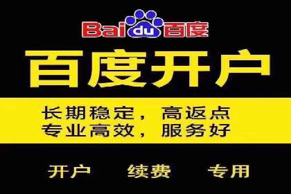 百度竞价代运营助力企业快速抢占市场
